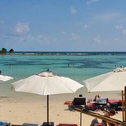 A whe different view this afternoon!