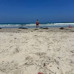 ...noch ein bisschen an den Strand :)