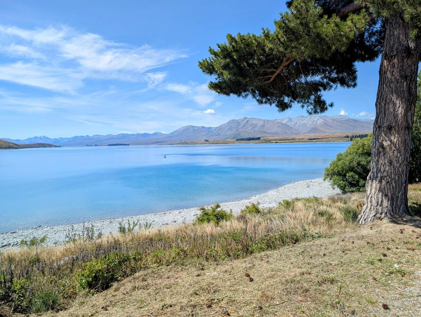 Lake Tekapo's blue-green colour comes from special glacial sediments in its water