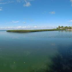Erste Begegnung mit Manatee, aber leider sehr fotoscheu 😢