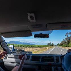 Överallt vinfält i prydliga rader.