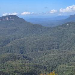 See the blue haze over the mountain range from the Eucalyptus trees oil.