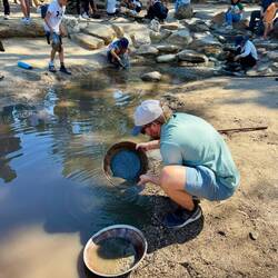 Leider nichts gefunden...