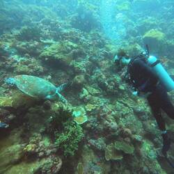 Dan makes another friend