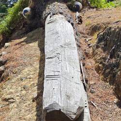 The Sculpture Park at Waitakaruru Arboretum