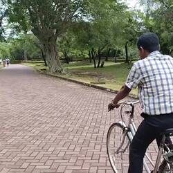Mit dem Fahrrad durch den Park...