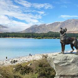 Statue of the sheep dog - made us miss Buster 💕