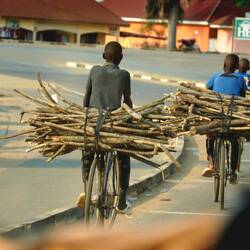 Kinder bringen Feuerholz
