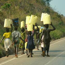 ... und dann nach Hause gebracht