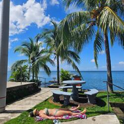 Unser Mittagsplatz- Yahaira sonnt sich