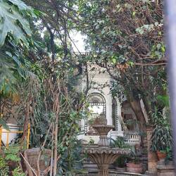 Verwunschener Innenhof