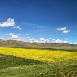 Ich liebe die Landschaft.