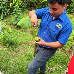 Unser Guide zeigte uns viele Kräuter und Früchte