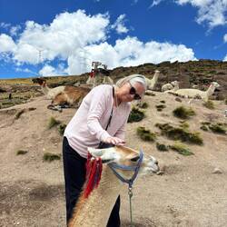 Llamas!🥰