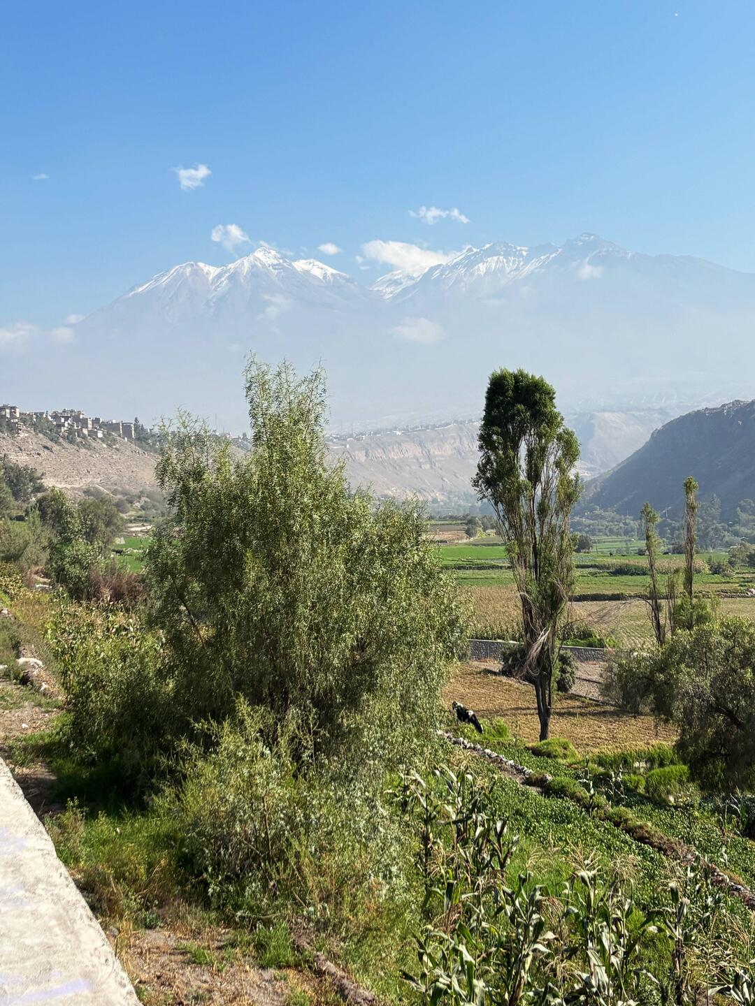 View of the volcanos from just outside Arequipa
