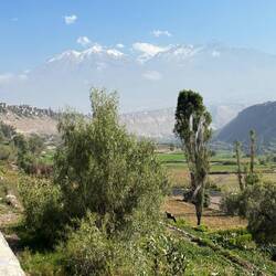 View of the volcanos from just outside Arequipa