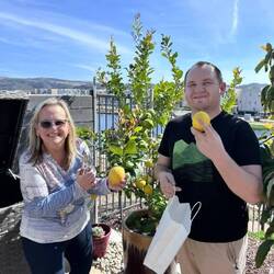 Our lemon tree very pretty