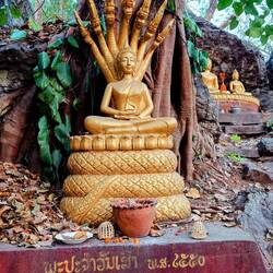 Was es nicht alles gibt. 😉