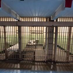 Winzige Zellen ohne jede Privatspähre