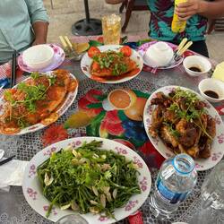 Lunch-we are fed well.