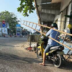 You can literally carry ANYTHING on a moped