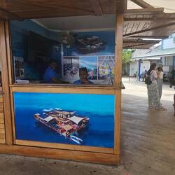 Lots of tour options