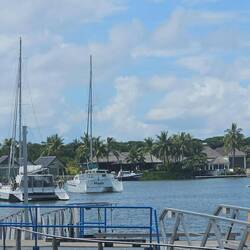 More harbor pictures