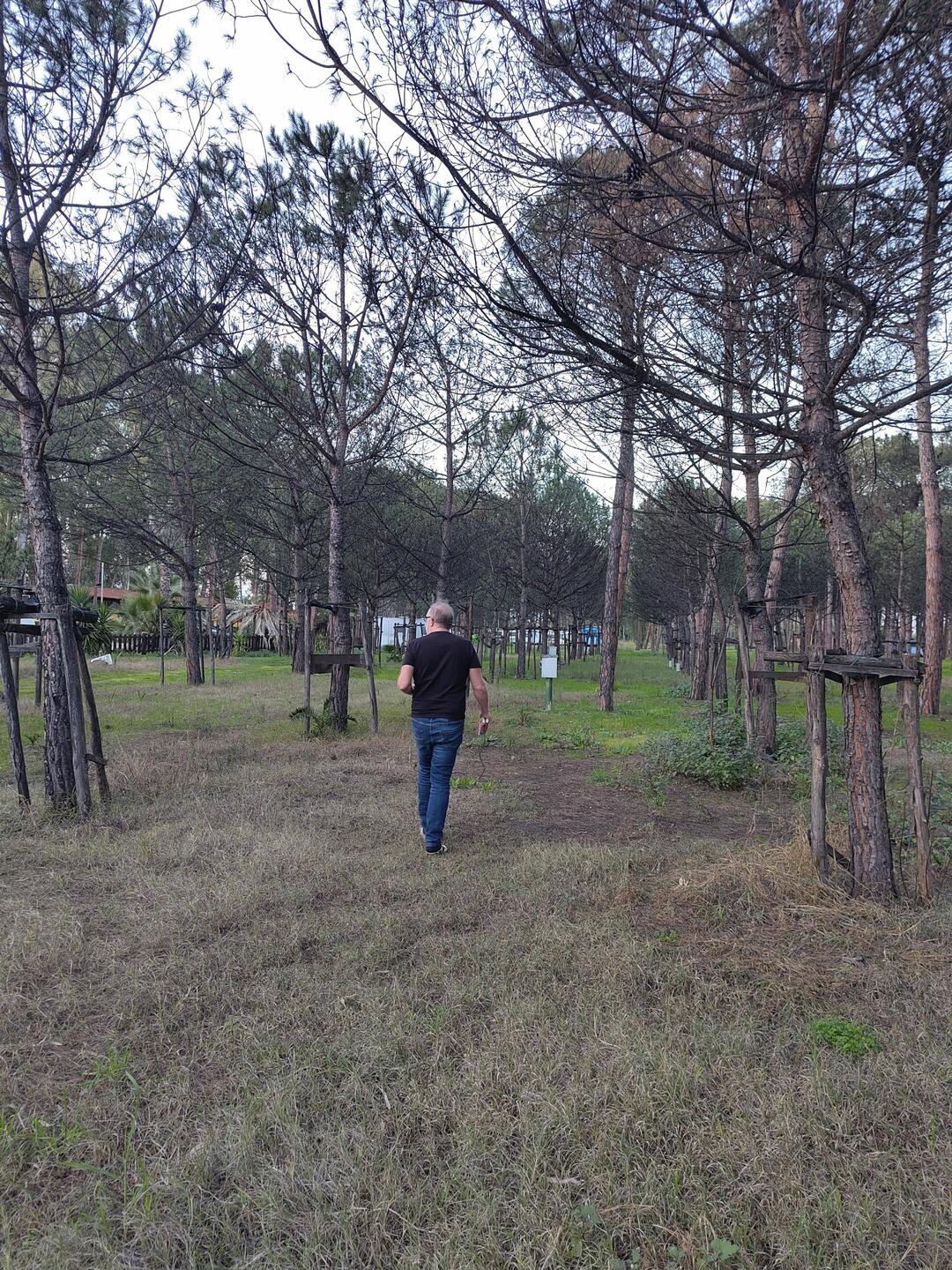 Günther auf der Suche nach Strom