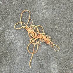 Was man so alles findet...