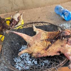 Streetfood: war wohl mal ein Nutria, richtig lecker! (Nee, haben wir nicht gegessen 😉)