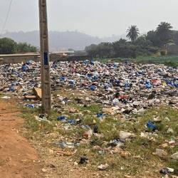 ...und Müll entsorgt...