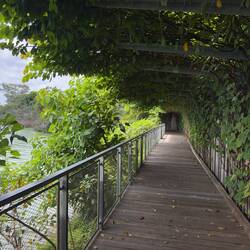 Mandai Boardwalk