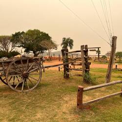 Auch heute ist am Himmel wieder viel Rauch zu sehen