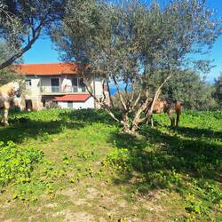 Camper Stop, der Hufschmied 🐴 war gerade da