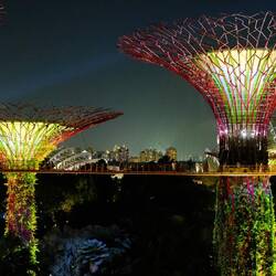 Wir hatten Glück und waren pünktlich auf dem Skywalk
