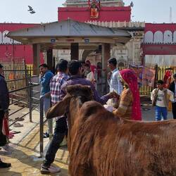 Kari Mata Tempel