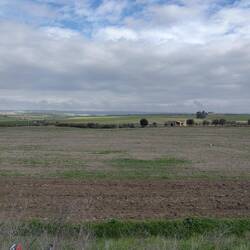 Die Gegend hier ist die Kornkammer der Basilikata
