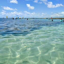Praia de Porto de Galinhas