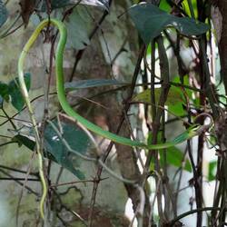 Eine hungrige Schlange haben wir auch entdeckt 🐍