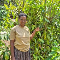 Na, was wird hier angebaut?