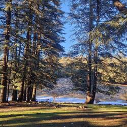 Da liegt noch Schnee