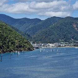 Hello Picton