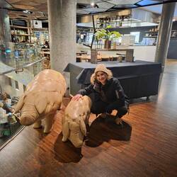 Die Haustiere von unserem Hotel🐷