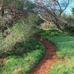 Und wieder hoch auf die Klippen