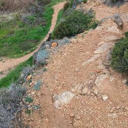 Abstieg zur letzten Strandbucht Praia dos Rebolinos