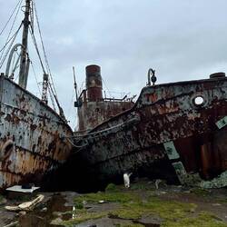 Old whaling boats just left on shore