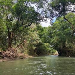 Schöne Flusslandschaft