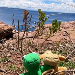 Und einen See, der so groß wirkt, wie ein Meer.