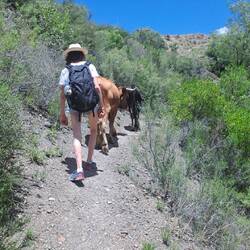 Aaah und tolle temporäre Begleitung hatten wir ja auch