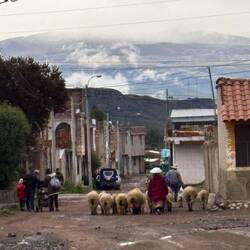 Spotted as we walked back to our hotel